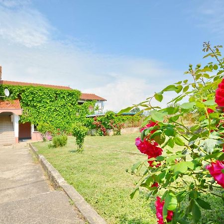 Apartmani Maca Sikovo Ngoại thất bức ảnh