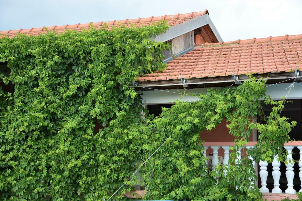 Apartmani Maca Sikovo Ngoại thất bức ảnh